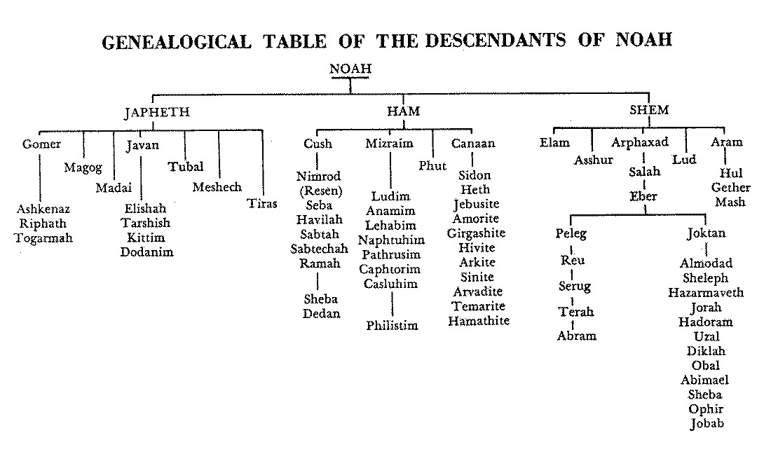 Sons Of Noah Chart