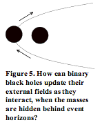 Text Box:  Figure 5. How can binary black holes update their external fields as they interact, when the masses are hidden behind event horizons?
